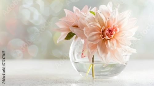 Wallpaper Mural Spring & Summer Floral Beauty: Pink Roses, Purple Peonies, and Daisy Bouquets in Garden Arrangements Torontodigital.ca