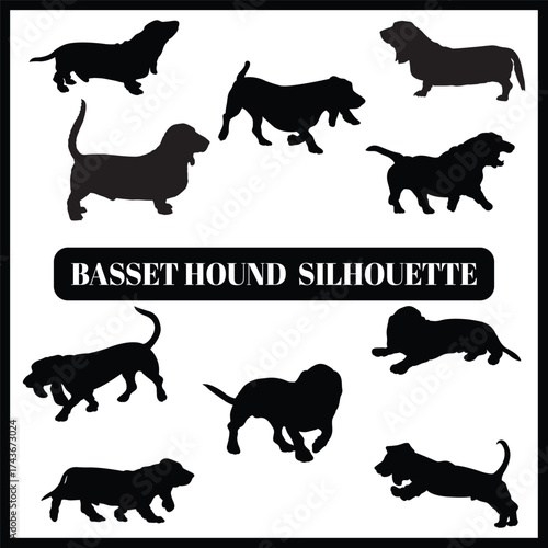 Basset Hound silhouette set, Basset Hound set box icon, Basset Hound illustration, silhouette, set icon, silhouette, Basset Hound icon