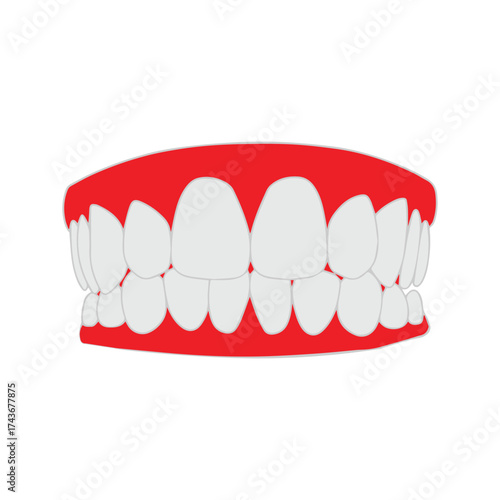 Smiling Brightly A Dental Illustration of Teeth and Gums for Oral Health Awareness