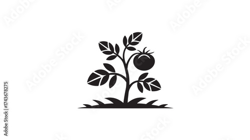 Fresh ripe tomato plant icon symbolizing healthy organic produce growth and sustainable agriculture for your modern brand designs