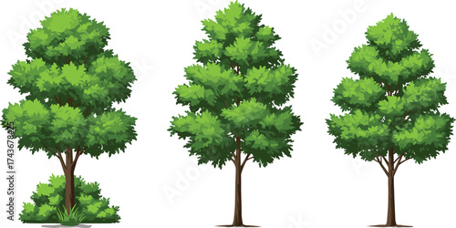 Cartoon-style green trees with dense foliage and natural shapes — ideal for landscape design, game assets, garden illustrations, eco branding, and digital art projects