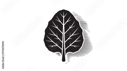 Stunning abstract minimalist black leaf silhouette with elegant vein detail and sophisticated hatched shadow effect, perfect for modern design and natural branding concepts