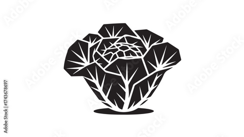 Elegant black and white graphic of a stylized lettuce or cabbage head, representing freshness, health, and natural ingredients for modern culinary and wellness concepts.