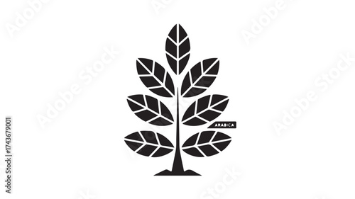 Stylized black Arabica coffee plant with detailed leaves and stem, conveying organic growth and premium quality for branding and design concepts