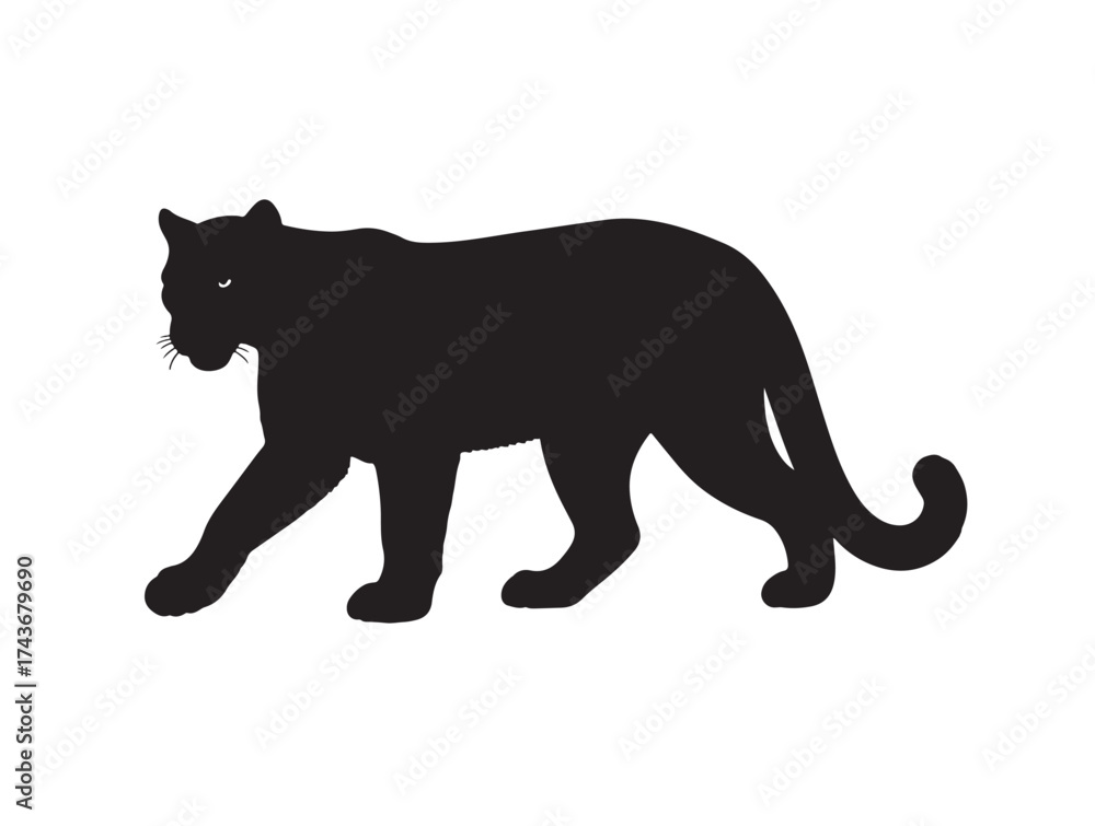 Obraz premium Cougar on black and white in silhouette white background.