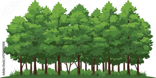 Dense forest tree illustration, lush green canopy, woodland landscape, perfect for nature designs, environmental graphics, seasonal art, and landscape elements