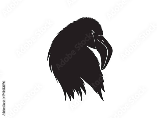 Flamingo up head side view in silhouette white background.