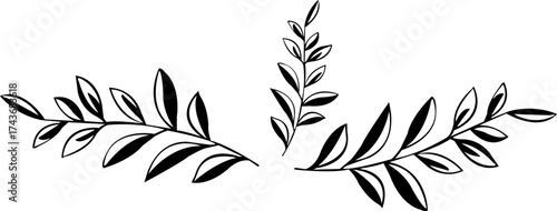collection, element, divider, design, showcases, lintricate, scroll, work, floral, motif, perfect, adding, touch, sophistication, creative, project, layout, isolated, transparent, background, decorati