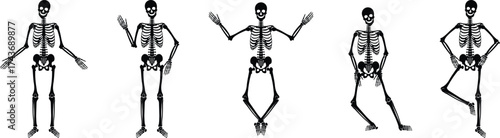 Dancing human skeleton bones icon set collection group isolated on transparent background in black and line style, anatomy spooky skull cranium medical illustration vector bundle design elements