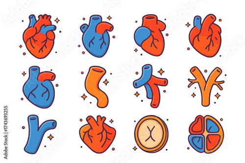 Colorful Heart Anatomy Icons. Heart Anatomy. Colorful isometric vector icons set of Heart Anatomy: human heart, left atrium, right atrium, left ventricle,