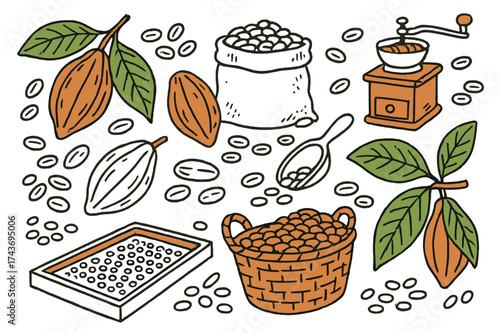 Cocoa Bean Illustration. Cocoa Beans. Hand-drawn doodle illustration cocoa pod (colored), cocoa beans, leaves (colored), sack of beans, grinder (colored),
