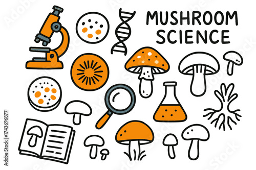 Mushroom Science Doodles. Mushroom Science. Hand-drawn doodle illustration microscope (colored), spore print, petri dish (colored), DNA strand, mushroom