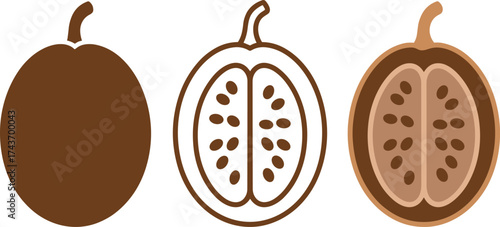 Three brown sapodilla fruit styles whole and sliced isolated on white vector