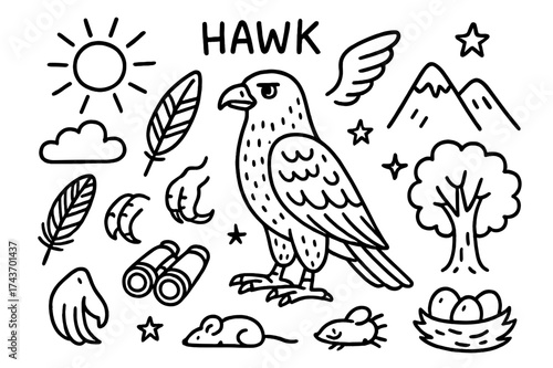 Hawk Doodle Elements. Hawk. Hand-drawn doodle illustration hawk bird, wing, feather, talon, beak, sun, cloud, mountain, prey mouse, binoculars, nest, egg,