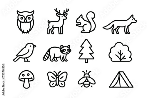 Forest Wildlife Icons. Forest Wildlife. Line icon set of Forest Wildlife: owl, deer, squirrel, fox, bird, raccoon, tree, bush, mushroom, butterfly, firefly,