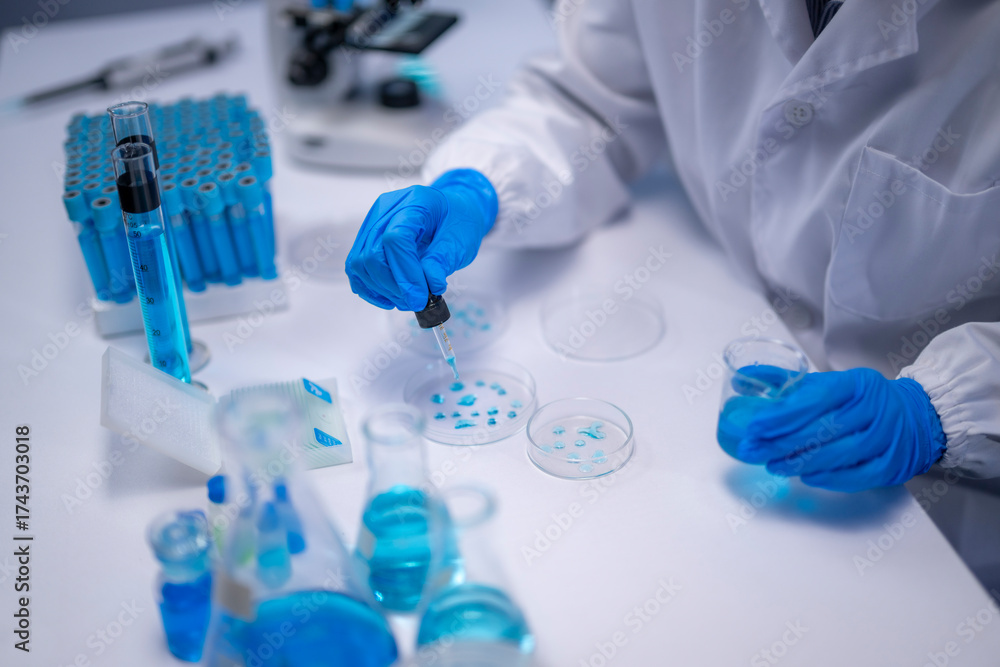 Fototapeta premium Scientist dropping blue liquid on petri dish during experiment in laboratory