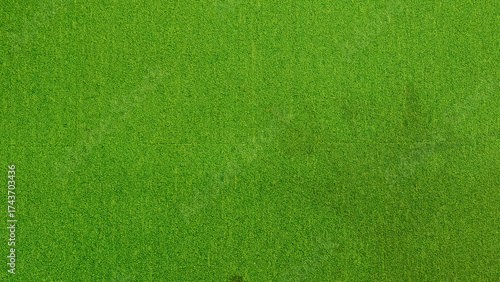 Close-up view of a vibrant green felt surface, showcasing texture and detail.