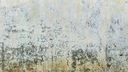 Weathered and aged plaster wall with intricate patterns of cracks