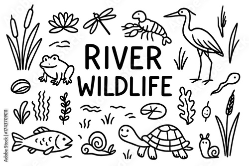 River Wildlife Doodle. River Wildlife. Hand-drawn doodle illustration of River Wildlife. Fish, frog, turtle,