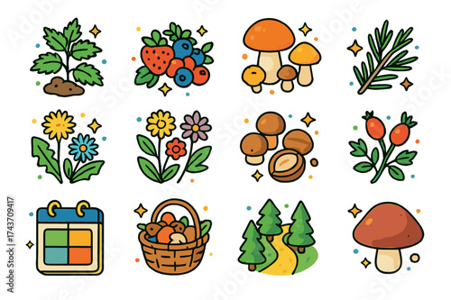 Seasonal Foraging Icons. Seasonal foraging. Colorful isometric vector icons set of seasonal foraging: spring nettles, summer berries, autumn mushrooms, winter