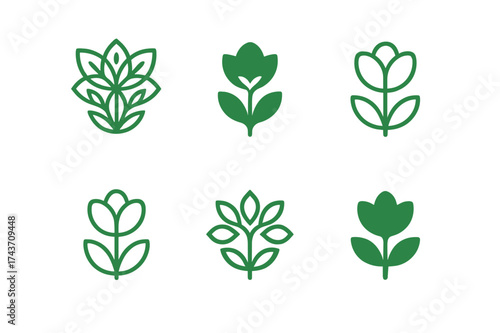 Floral Emblem Logos. Nature vibe package design with flowers and plants. Set Logo of Packaging: decorative floral motif icon. harmonious logo variations of the