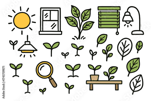 Sunlit Plant Growth. Light & Growth. Hand-drawn doodle illustration sun (colored), window, grow light (colored), leafy plant, blinds (colored), lamp,