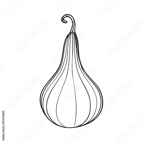  Simple outline drawing of a pear-shaped gourd.