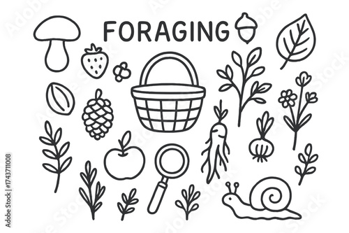 Foraging Doodle Icons. Foraging. Hand-drawn doodle illustration Foraging mushroom, berry, nut, leaf, basket, pinecone, root, plant, apple, herbs, magnifying
