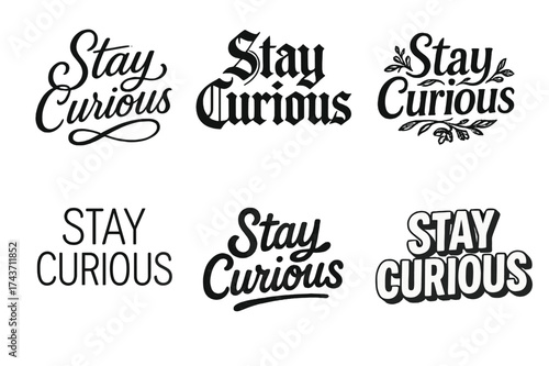 Diverse Lettering Styles. Stay Curious. Set lettering. harmonious lettering variations of the same emblematic concept, each with different artistic