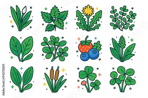 Colorful Edible Plants Icons. Edible plants. Colorful isometric vector icons set of edible plants: wild garlic, nettle leaves, dandelion greens, chickweed,
