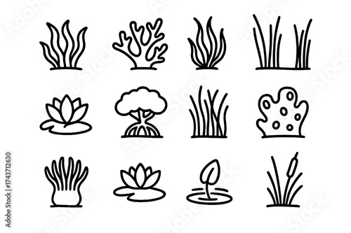 Marine Plants Icons. Marine plants. Line outline icon set of marine plants: seaweed, coral, kelp, seagrass,