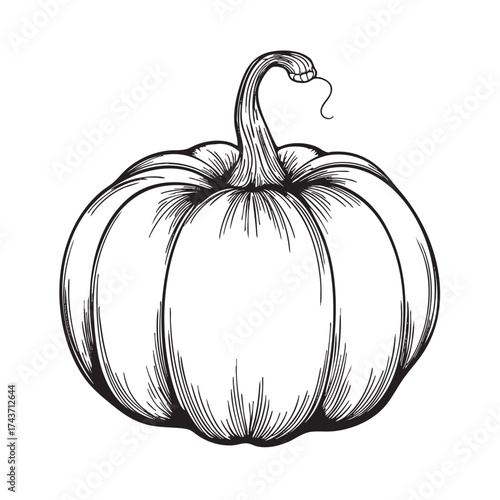 Black and white line drawing of a round pumpkin with a curved stem