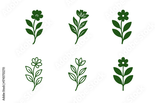Botanical Logo Variations. Nature vibe package design with flowers and plants. Set Logo of Packaging: botanical illustration icon. harmonious logo variations