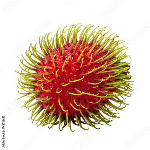 rambutan isolated white background
