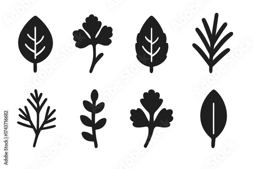 Leaf Icon Set. Leaf patterns. Filled icon set of Leaf patterns: single basil leaf, parsley bunch, mint leaf,