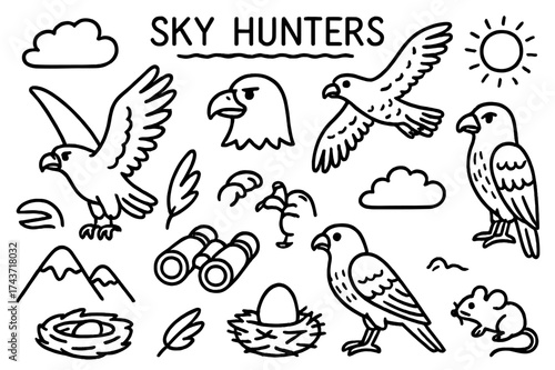 Sky Hunters Doodle. Sky hunters. Hand-drawn doodle illustration sky hunters eagle, hawk, falcon, wing, feather, beak, talon, sun, cloud, mountain, binoculars,