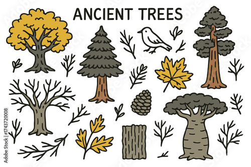 Ancient Trees Illustration. Ancient Trees. Hand-drawn doodle illustration oak (colored), cedar, sequoia (colored), baobab, maple leaf (colored), pinecone,