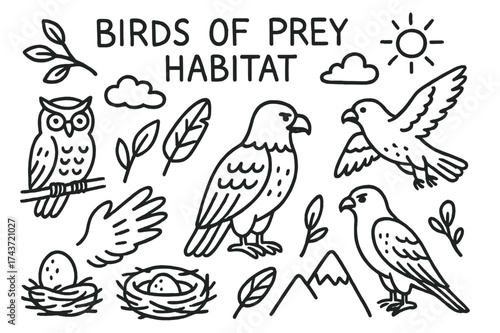 Birds of Prey. Birds of prey habitat. Hand-drawn doodle illustration birds of prey habitat nest, egg, tree, mountain, sun, cloud, owl, eagle, hawk, falcon,