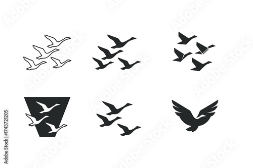 Geese Logo Variations. Geese. Set Logo of Wildlife: A flying V-formation of geese. harmonious logo variations of the same emblematic concept, each with