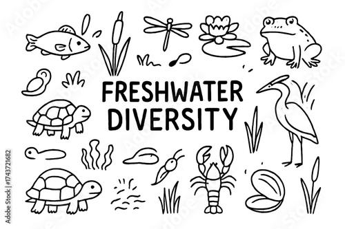 Freshwater Wildlife Doodles. Freshwater Diversity. Hand-drawn doodle illustration of Freshwater Diversity.