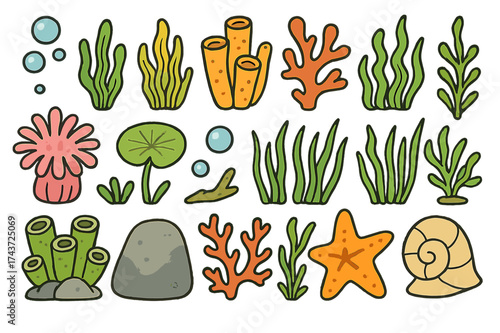 Underwater Doodle Illustrations. Underwater Plants. Colorful Hand-drawn doodle Children illustration Seaweed, kelp, coral, sponge, anemone, seagrass, algae,