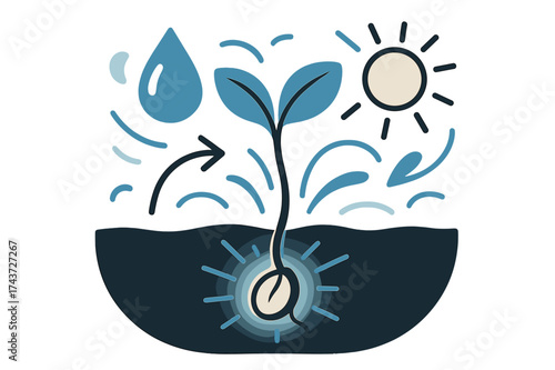 Seed to Sprout. How a seed grows into a plant. Glowing seed underground with small sprout emerging upward. Floating water droplet and sun icons showing life