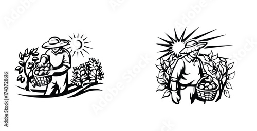 Minimalist line art sketch of a collecting vegetables black silhouette style vector art design