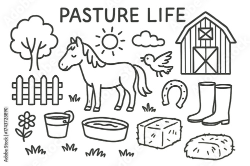 Pasture Essentials Doodle. Pasture Life. Hand-drawn doodle illustration Pasture Life horse, fence, grass, tree, bucket, water trough, hay bale, barn, sun,