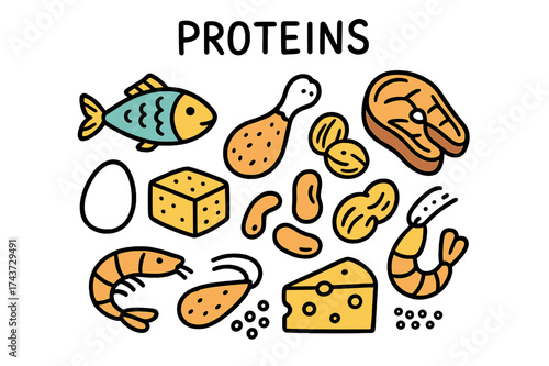 Protein-Rich Foods Illustration. Proteins. Hand-drawn doodle illustration fish (colored), chicken leg, steak (colored), egg, tofu (colored), beans, nuts