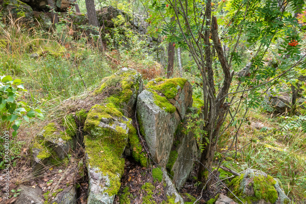Fototapeta premium Azov Mountain Nature Park. The mountain range is composed of spherical lavas of basalt composition