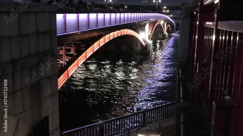 ライトアップされた夜の川