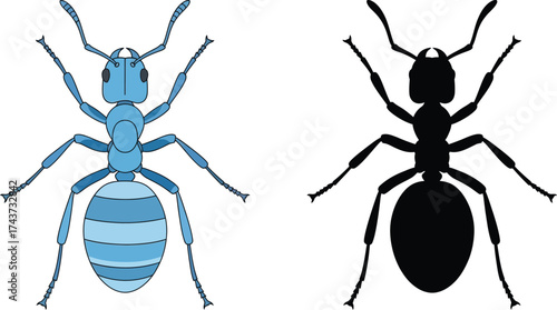 Blue ant illustration insect drawing vector image design art editable