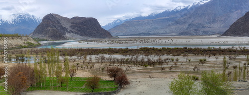 panoramic landscape of skardu, Gilgit Baltistan 