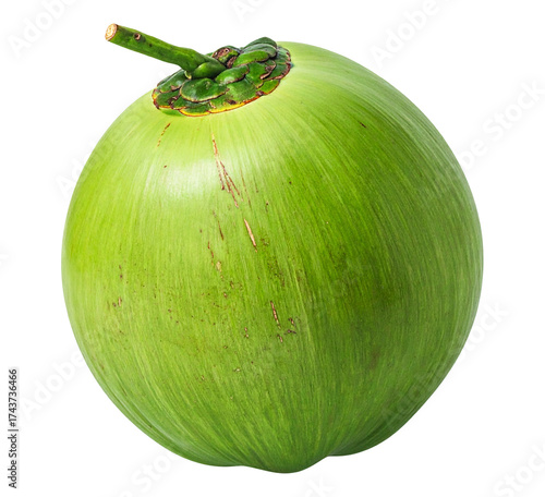 Organic young green coconut isolated object